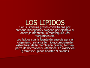 LOS LIPIDOS.ppt