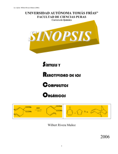 SINOPSIS  S R