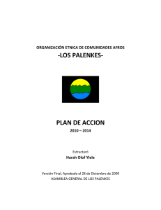 PLAN DE ACCION los palenkes 2010-2014
