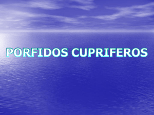 PORFIDOS CUPRIFEROS _5