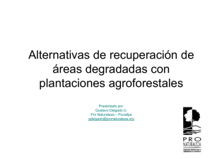 Alternativas de recuperación de áreas degradadas con plantaciones agroforestales Presentado por:
