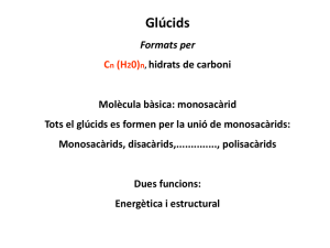 Glucids.pptx