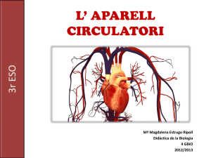 Aparell circulatori.pptx