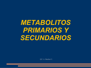 METABOLITOS PRIMARIOS Y SECUNDARIOS - CLASE 3