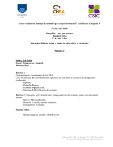 csic_Cart OFCSIC 199 2013 Programa.doc