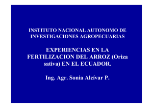 Experiencias en la fertilización de arroz en la cuenca baja del río guayas.