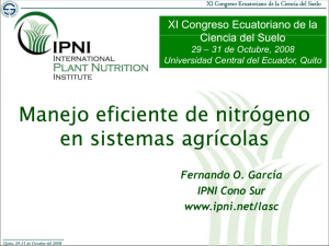 El nitrógeno en la agricultura argentina. presente y ¿futuro?