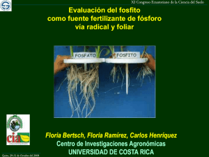 Evaluación del fosfito como fuente fertilizante de fósforo