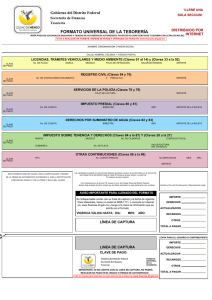 formato tesoreria