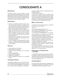 CONSOLIDANTE A (PDF)