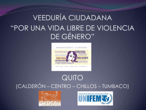 3. Veeduría Ciudadana por una vida libre de violencia de género; UNIFEM; CEDEAL, en Quito Centro, Norte y Valles.
