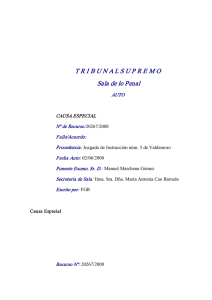 http://estaticos.elmundo.es/documentos/2008/06/05/auto.pdf