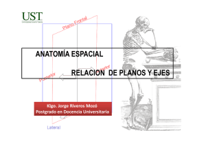 anatomia_espacial_relacion_de_planos_y_ejes.pdf