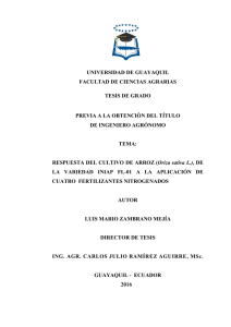 Zambrano Mejía Luis Mario.pdf