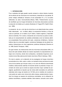 tesis agosto 2014.pdf