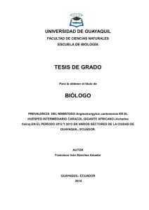Prevalencia de Angiostrongylus cantonensis en el huesped intermediario Achatina fulica en la ciudad de Guayaquil. Ecuador.pdf
