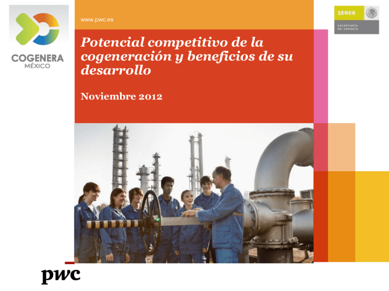 Potencial Competitivo De La Cogeneraci N Y Beneficios Para Su Desarrollo