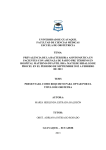 Tesis Maria Herlinda Estrada Baldeon.pdf