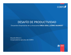 Eduardo Bitrán, Vicepresidente Ejecutivo de Corfo: Desafío de Productividad
