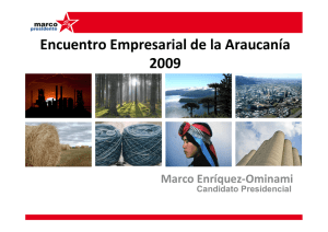 Encuentro Empresarial de La Araucanía 2009