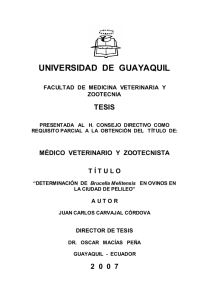 Carvajal Cordova Juan Carlos160.pdf