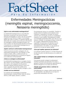 Enfermedades Meningocócicas (meningitis espinal, meningococcemia, Neisseria meningitidis)