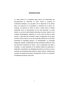 Contenido Tesis Vicente Aguirre.pdf