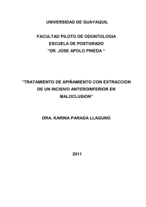 PARADA LLAGUNO indice.pdf