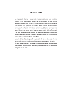 Contenido Palomino.pdf