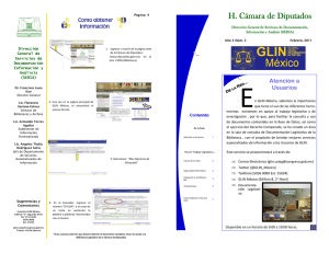 Boletín GLIN-México. Febrero 2011