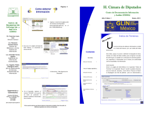 Boletín GLIN-México. Enero 2011