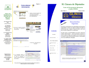 Boletín GLIN-México. Febrero 2010