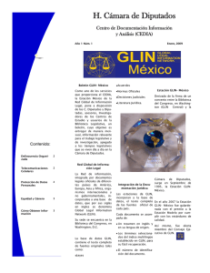 Boletín GLIN-México. Enero 2009