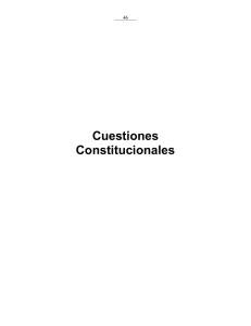 Cuestiones Constitucionales  46