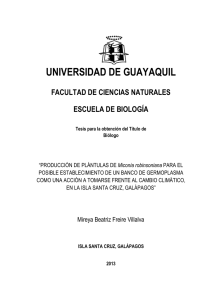 Freire Mireya - “PRODUCCIÓN DE PLÁNTULAS DE Miconia robinson.pdf
