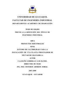 3534..CAAMAÑO GORDILLO LUIS DANIEL.pdf