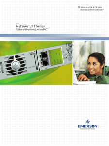 NetSure 211 Series Brochure (Spanish)