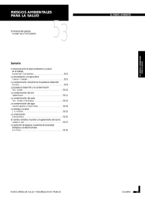 Nueva ventana:Capítulo 53. Riesgos ambientales para la salud (pdf, 970 Kbytes)