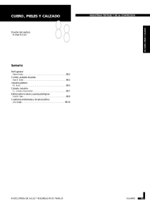 Nueva ventana:Capítulo 88. Cuero, pieles y calzado (pdf, 596 Kbytes)