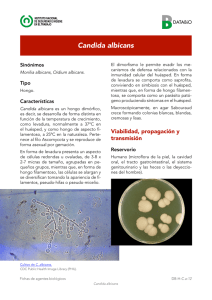 Nueva ventana:Candida albicans (pdf, 752 Kbytes)