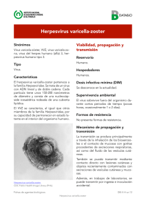 Nueva ventana:Herpesvirus varicella-zoster (pdf, 326 Kbytes)