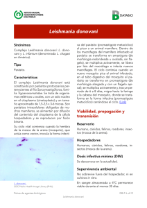 Nueva ventana:Leishmania donovani (pdf, 569 Kbytes)