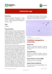 Nueva ventana:Leishmania spp (pdf, 270 Kbytes)
