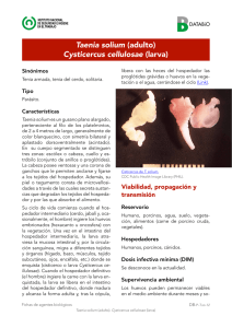 Nueva ventana:Taenia solium (pdf, 312 Kbytes)