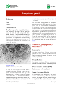 Nueva ventana:Toxoplasma gondii (pdf, 540 Kbytes)
