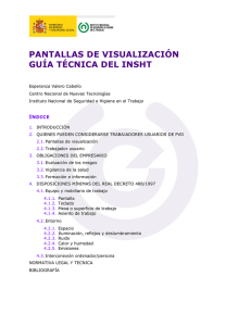 Nueva ventana:Pantallas de visualización Guía técnica del INSHT (pdf, 294 Kbytes)