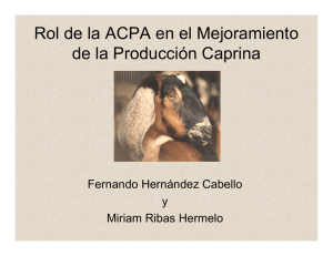 Rol de la ACPA en el Mejoramiento de la Producción Caprina y