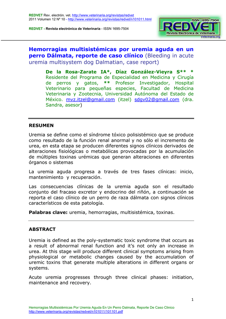 Hemorragias multisistémicas por uremia aguda en un perro Dálmata