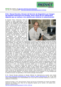 El Dr. Manuel Novales, Director del Servicio de Diagnóstico por... del Hospital Veterinario de Córdoba, lector oficial de las radiografías
