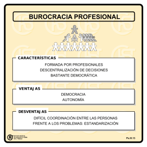 Nueva ventana:Burocracia profesional (pdf, 32 Kbytes)